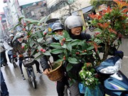 Bóng đá anh, ngoại hạng anh, lịch thi đấu euro 2012, Thăm chợ phiên ngày giáp Tết Tân Mão